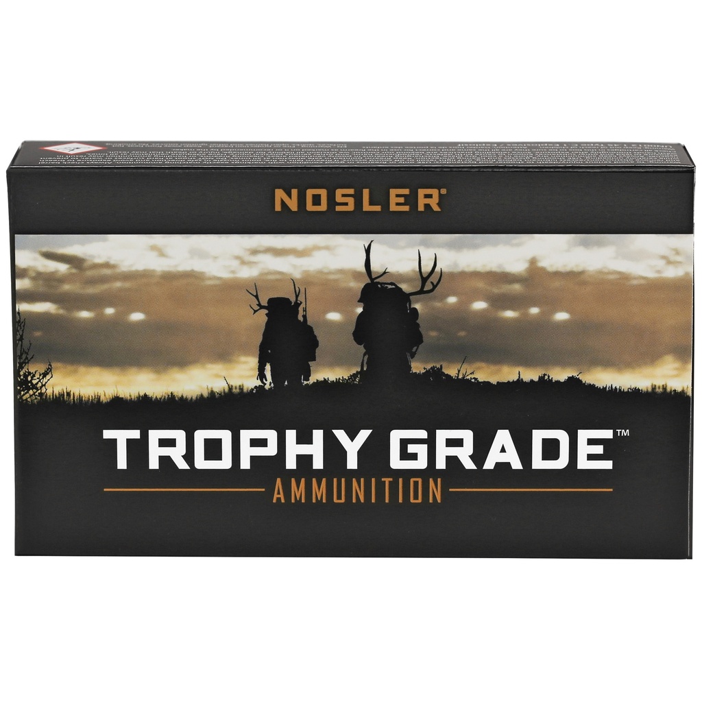 NOSLER TG 243WIN 100GR PT 20/200