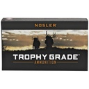 NOSLER TG 243WIN 100GR PT 20/200