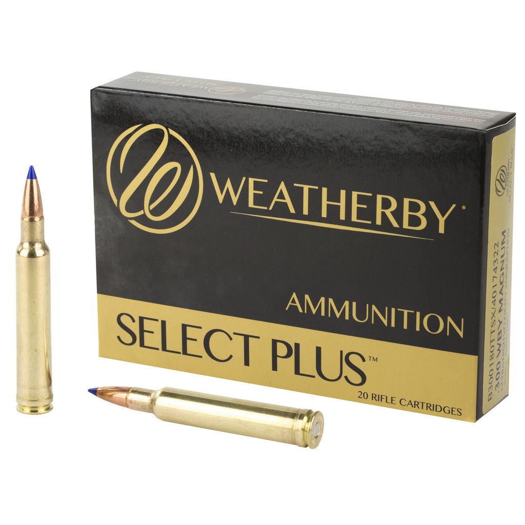 WBY AMMO 300WBY 180GR TTSX 20/200